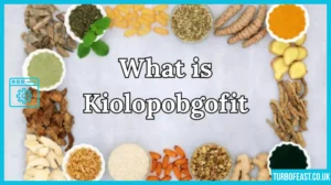 About Kiolopobgofit: What You Should Know